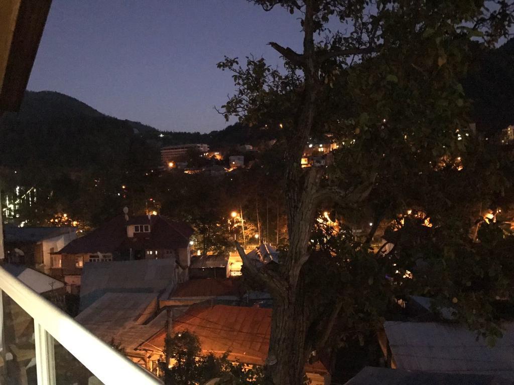 Rachvela'S Guest House Боржоми Екстериор снимка